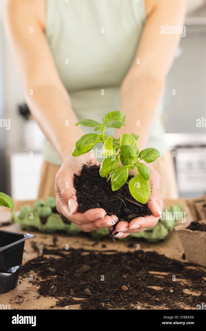 Sezione centrale di una giovane donna caucasica che tiene piccole piante e sporcizia a casa Foto Stock