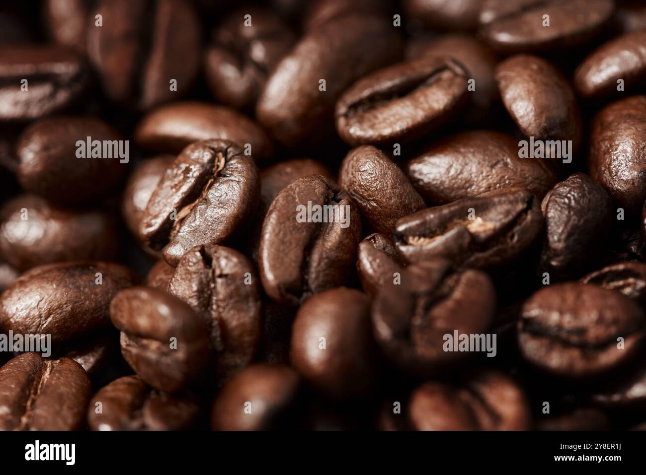 Primo piano, consistenza e chicchi di caffè naturali per la produzione, latte e cappuccino con processo di estrazione. Sostenibilità, ecologico e sano biologico Foto Stock