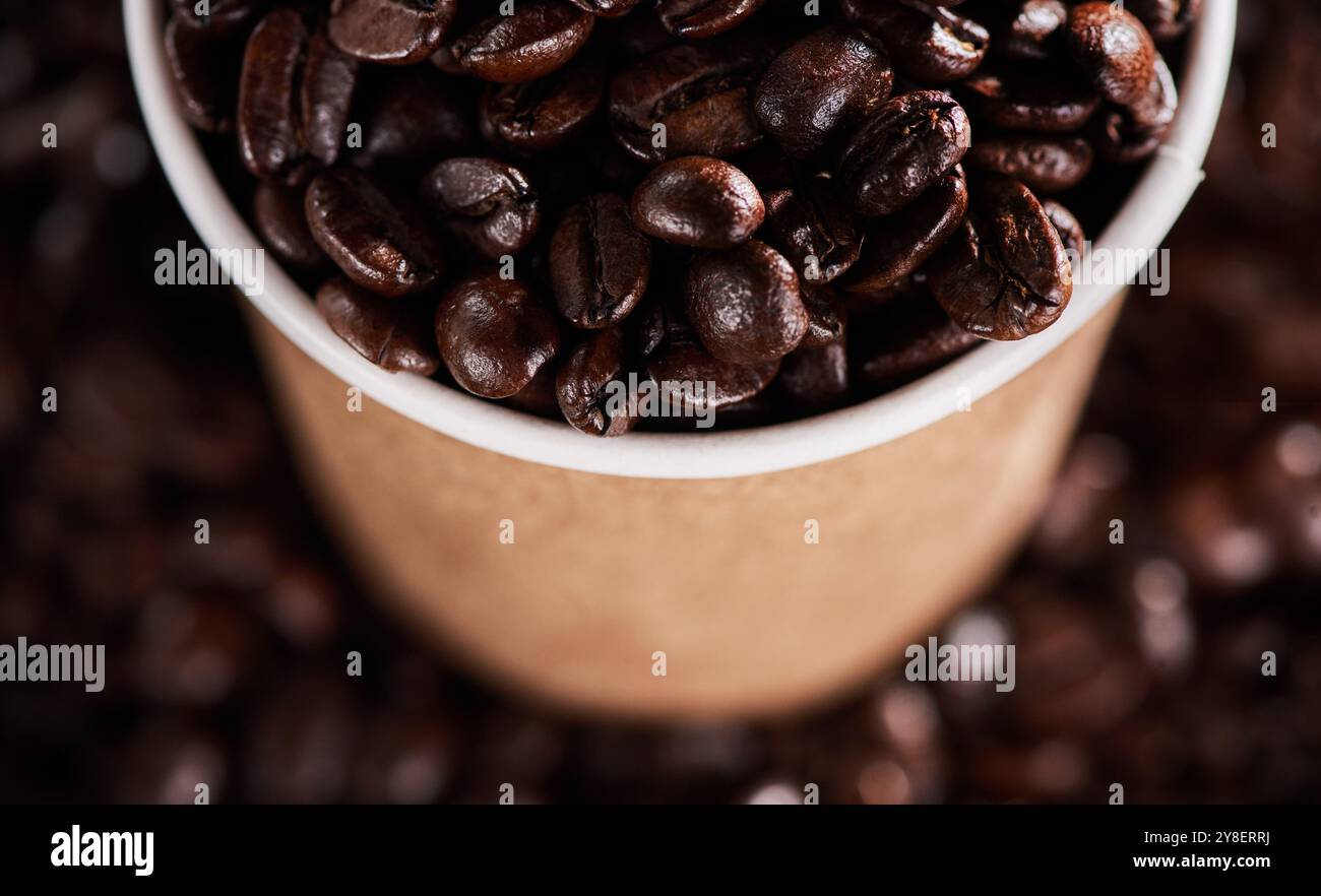 Caffè in grani freschi e caffè con tazza di carta per caffè, bistrot e ingredienti per bevande calde. Zoom, semi di robusta, grani di tostatura marrone di bianco Foto Stock
