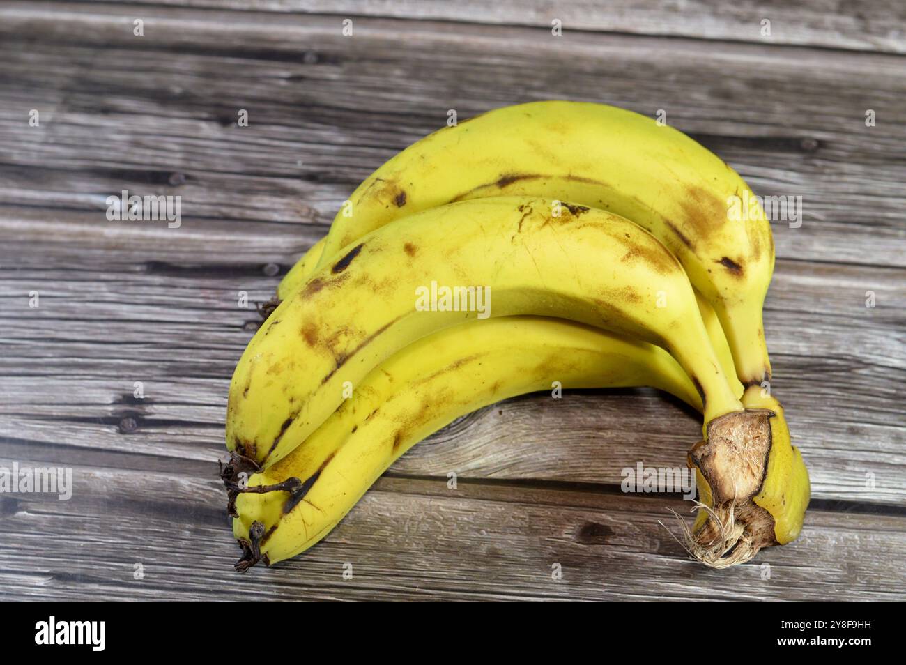 Banane, allungate, frutti commestibili botanicamente una bacca, prodotta da diversi tipi di grandi piante erbacee da fiore del genere Musa, la più grande h Foto Stock