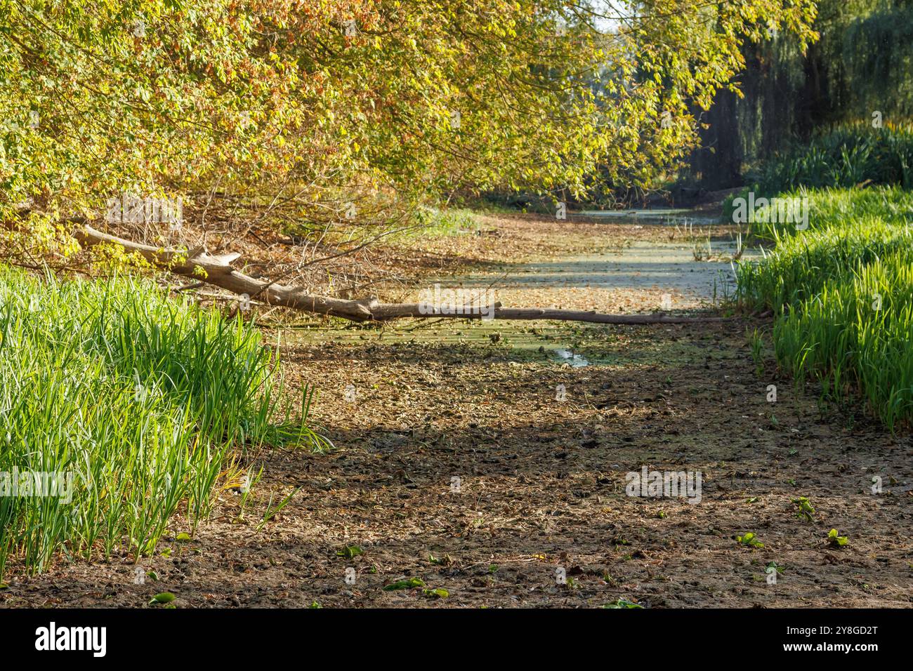 Letto di fiume asciutto, senza acqua. I corpi idrici sono visibili. Un letto di fiume con una corrente debole. Vista sul fiume Romain, che si è prosciugato a causa di un lungo Foto Stock