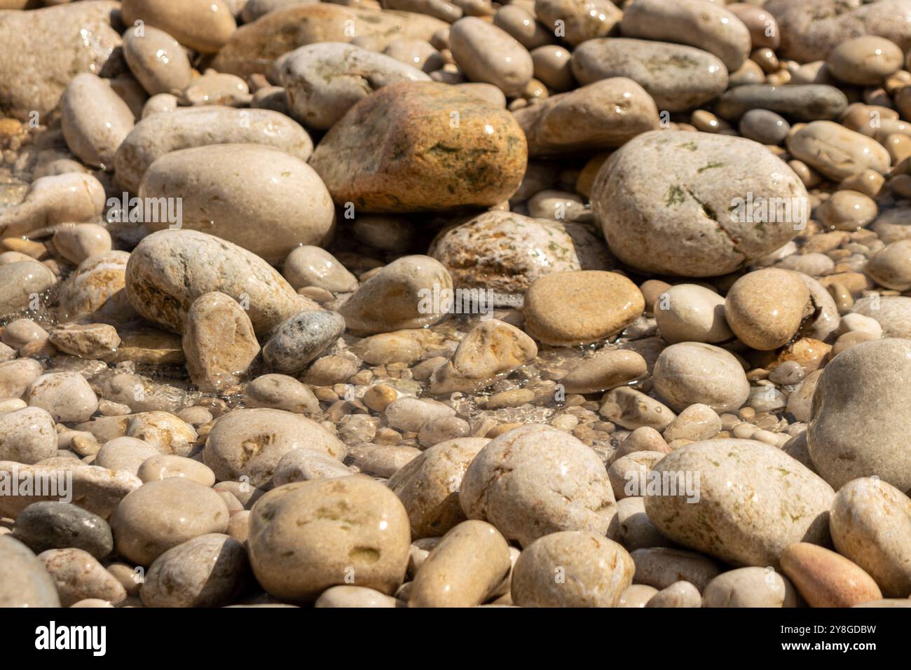 Questa immagine cattura una vista ravvicinata di varie pietre e ciottoli arrotondati in diverse dimensioni e colori, dal bianco al marrone al grigio. Foto Stock