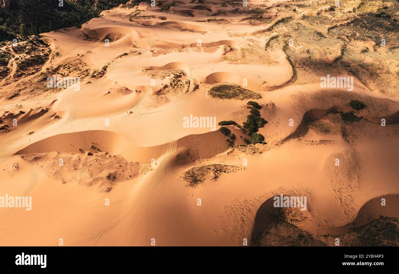 Vista aerea delle dune di sabbia rosa corallo nello Utah meridionale Foto Stock