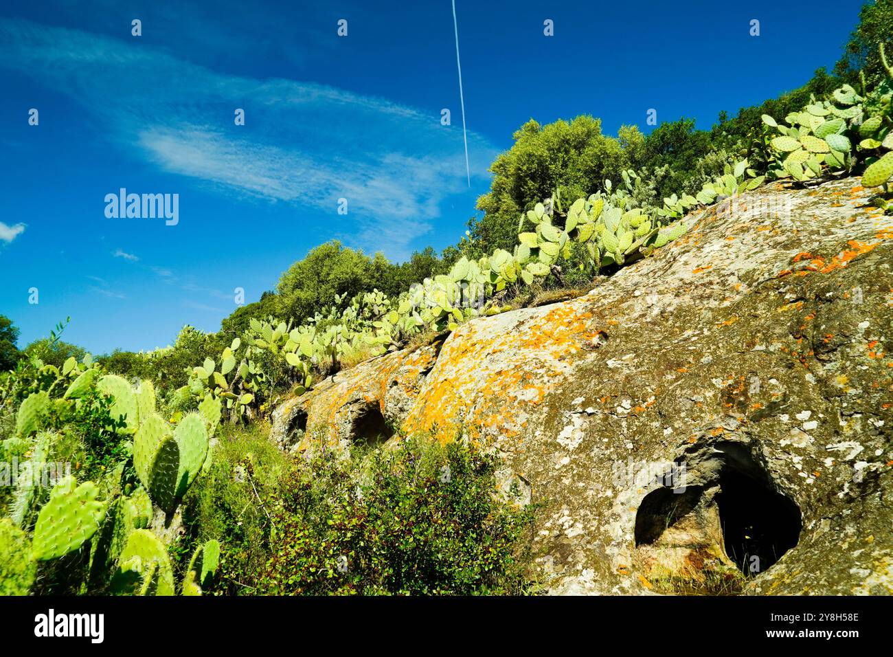 Domus de Janas della necropoli di SAS Concas, provincia di Sassari, Sardegna, Italia Foto Stock