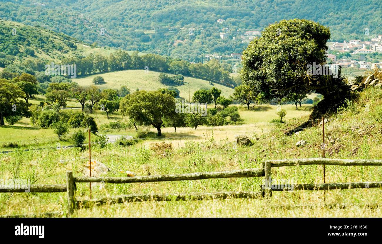 Paesaggio nuragico nella regione di Goceano, provincia di Sassari, Sardegna, Italia Foto Stock