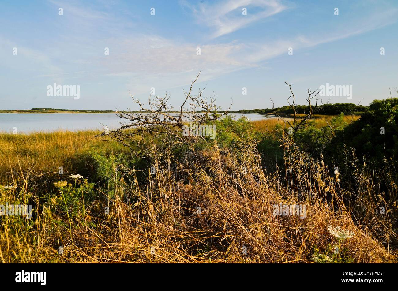 Lo stagno sale de Porcu nella penisola del Sinis popolato da una grande varietà di uccelli, tra cui fenicotteri rosa. Provincia di Oristano, Sardegna, Italia Foto Stock