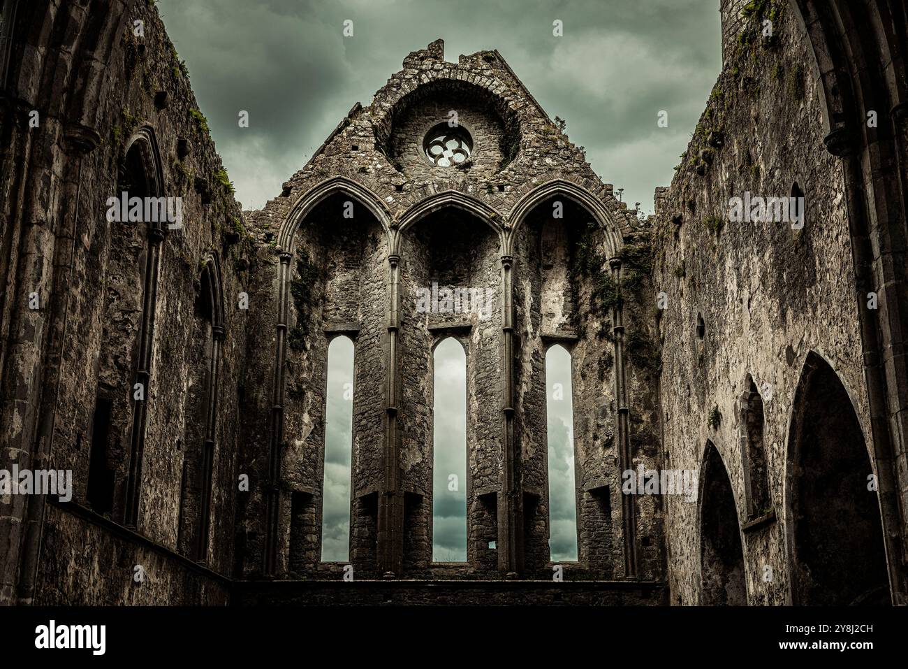 Rock of Cashel, simbolo del patrimonio e della cultura irlandese, Cashel, Contea di Tipperary, Irlanda Foto Stock