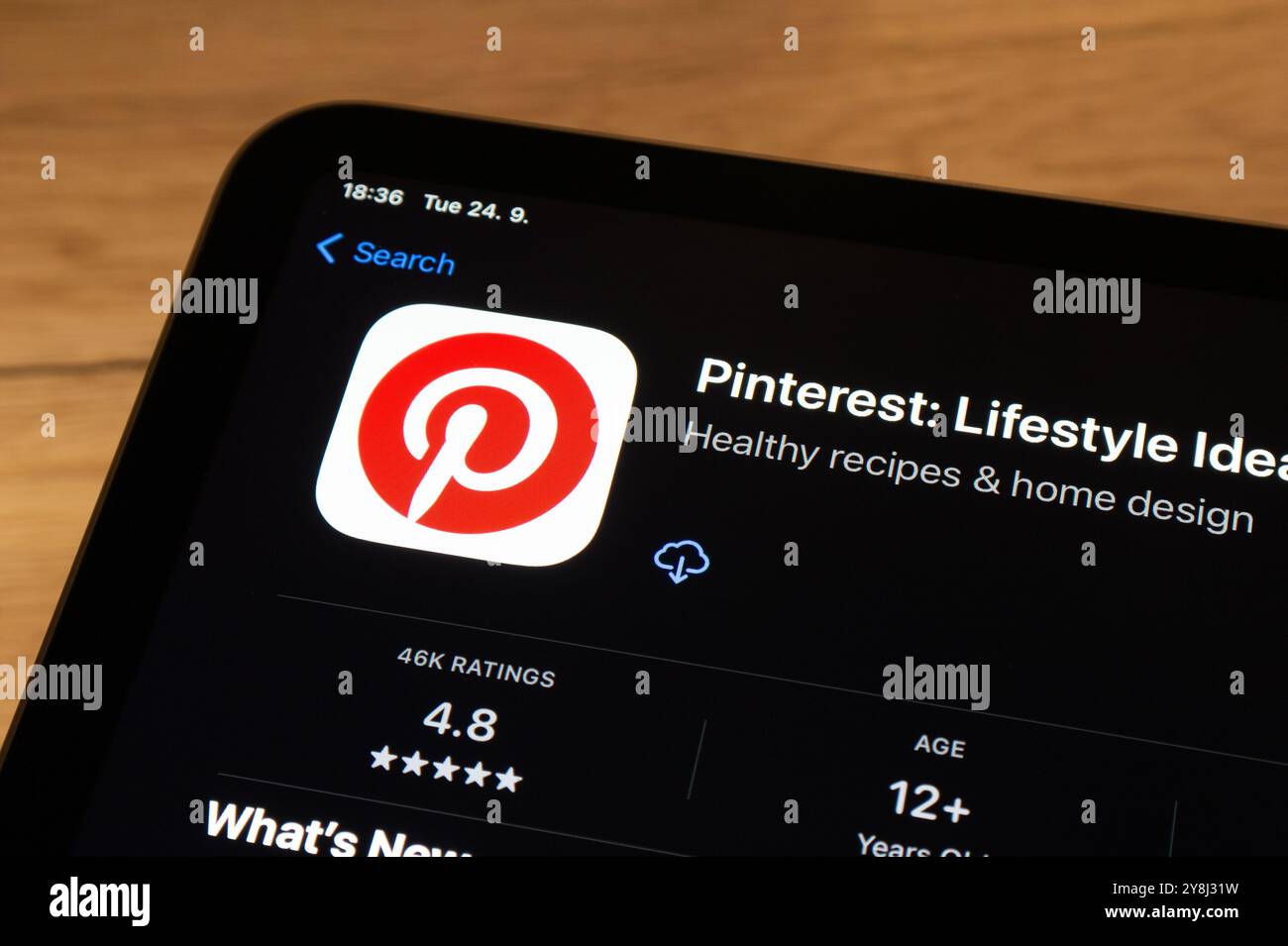 OSTRAVA, CECHIA - 14 SETTEMBRE 2024: App store con applicazione mobile per social media Pinterest da installare Foto Stock