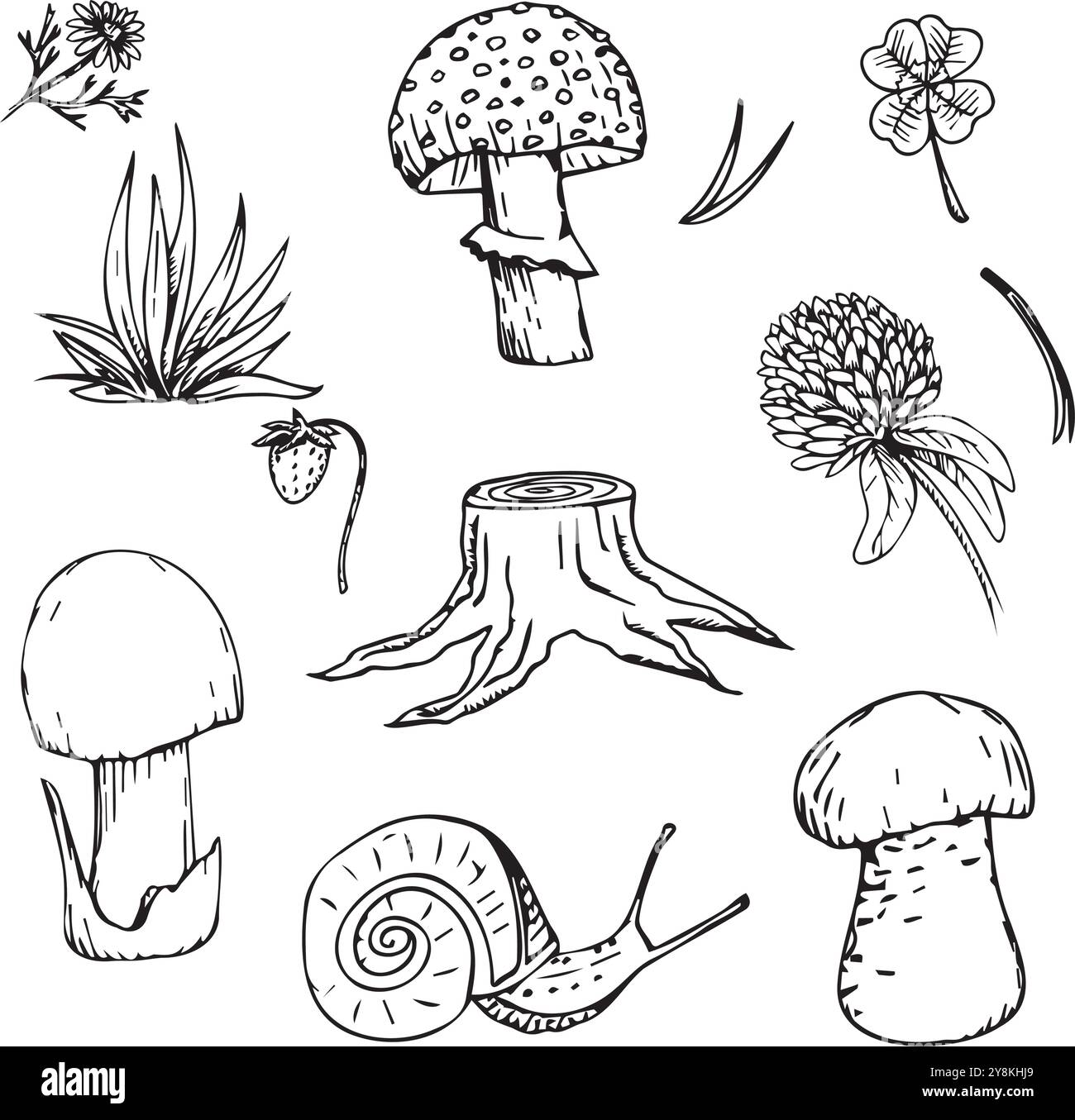 Set di elementi forestali disegnati a mano. Funghi, trifoglio, ceppo. Illustrazione Vettoriale