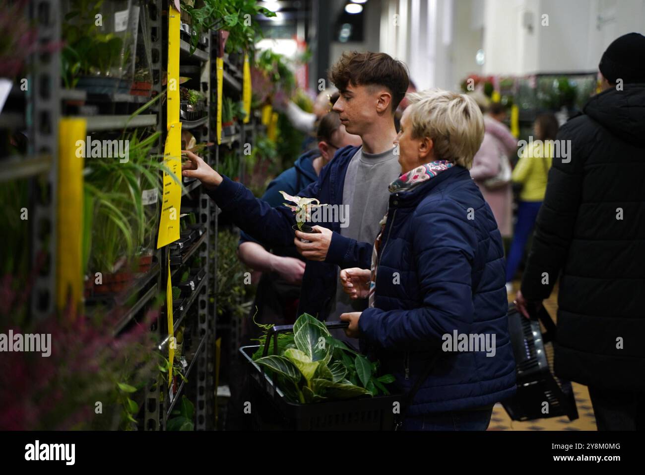 Lodz, Polonia. 5 ottobre 2024. Le persone selezionano le piante al 6th Plant Festival di Lodz, Polonia, 5 ottobre 2024. L'evento di due giorni è iniziato qui sabato, con vendite dirette da parte dei coltivatori, con piante per la casa, accessori per il giardinaggio e prodotti ecologici. Crediti: Zhang Kun/Xinhua/Alamy Live News Foto Stock
