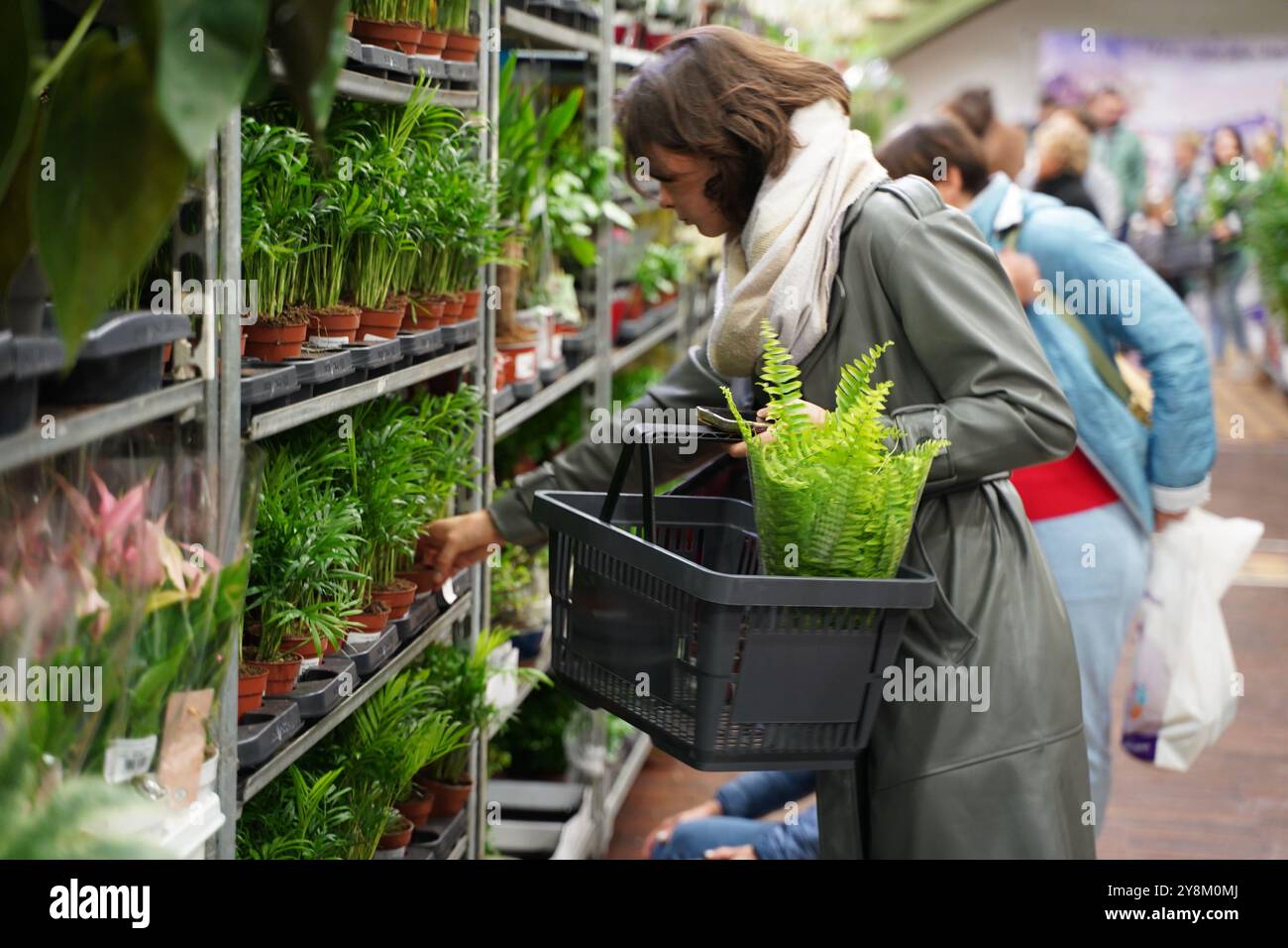 Lodz, Polonia. 5 ottobre 2024. Un visitatore seleziona le piante al 6th Plant Festival di Lodz, Polonia, 5 ottobre 2024. L'evento di due giorni è iniziato qui sabato, con vendite dirette da parte dei coltivatori, con piante per la casa, accessori per il giardinaggio e prodotti ecologici. Crediti: Zhang Kun/Xinhua/Alamy Live News Foto Stock