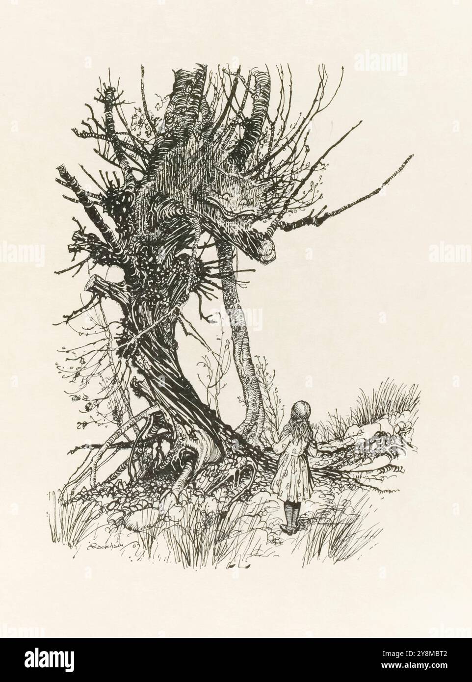 The Cheshire Cat Illustration from "Alice's Adventures in Wonderland" di Lewis Carroll (1832-1898), artwork di Arthur Rackham (1867-1939) che mostra il gatto del Cheshire che sgrana ampiamente. Fotografia tratta da una prima edizione del 1907 con illustrazioni di Rackham pubblicate da William Heinemann, Londra e Doubleday, Page & Co, New York. Crediti: AF fotografie / Collezione privata Foto Stock