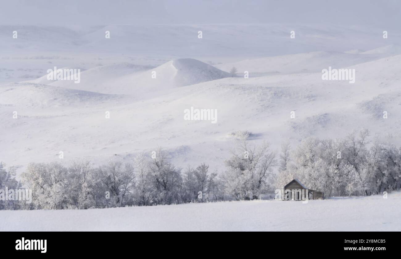 Prairie Inverno scene rurali Saskatchewan Canada Frost Foto Stock