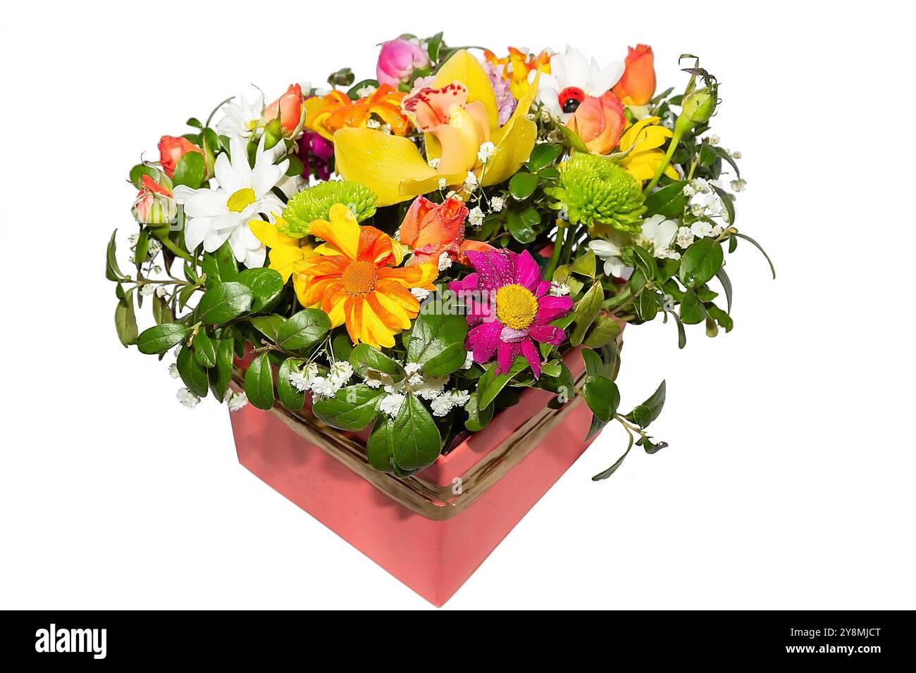 Bouquet di fiori colorati in scatola rosa isolata su sfondo bianco. Preparazione per una tessera vacanza Foto Stock