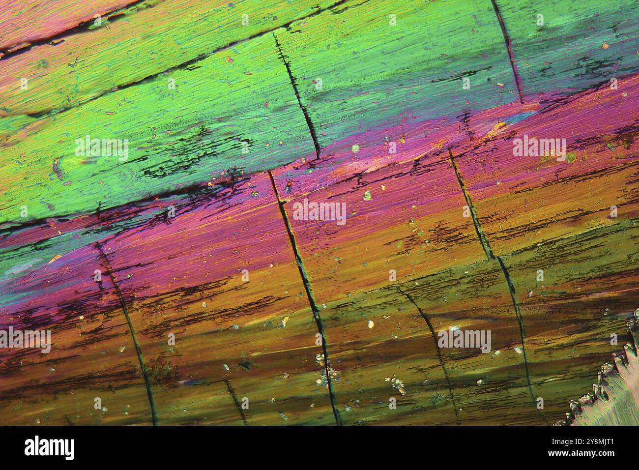 Il tulio è un elemento di terra rara. I cristalli vengono precipitati da una soluzione su un vetrino per microscopio e fotografati con luce polarizzata Foto Stock