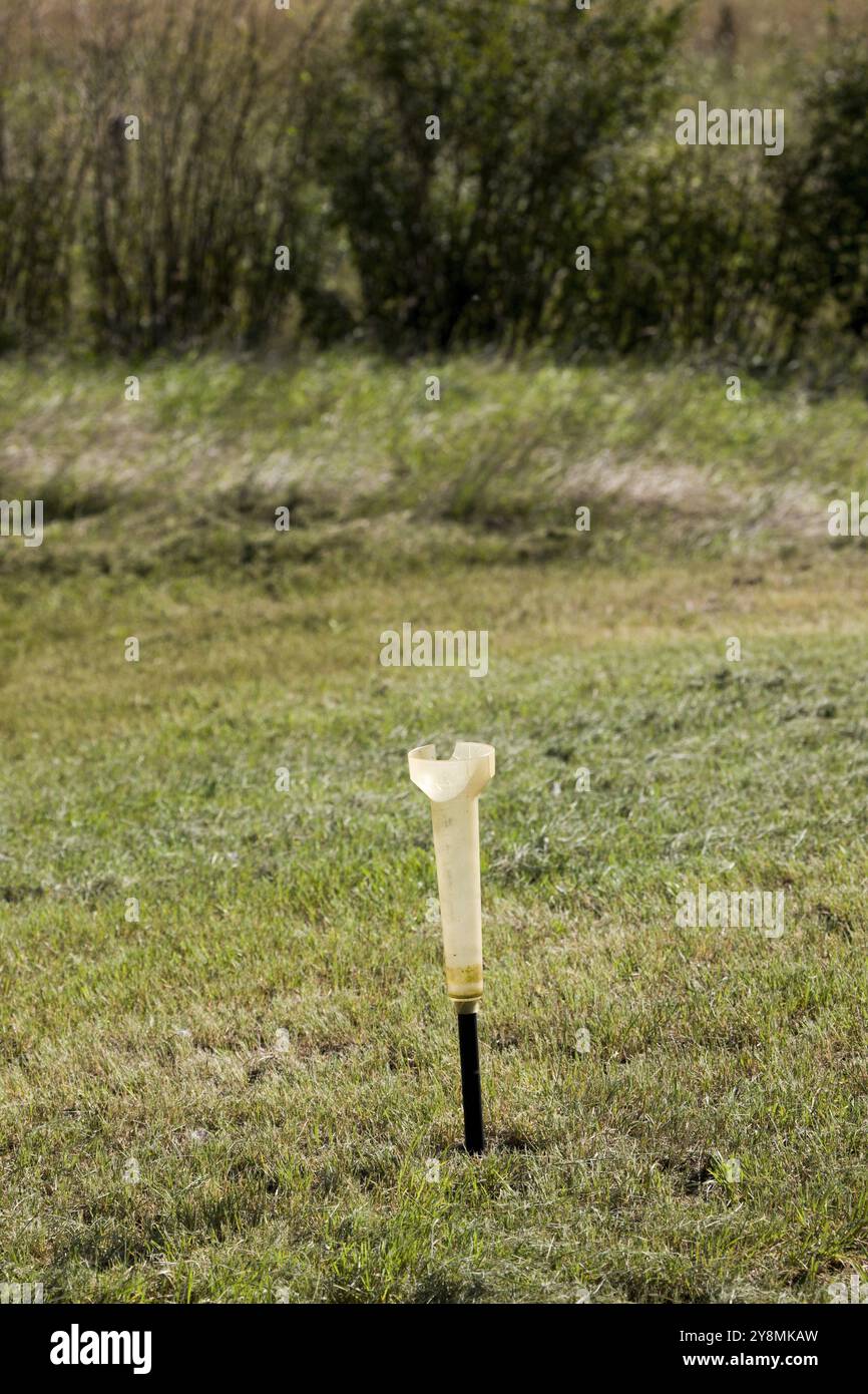 Prairie Scene Saskatchewan raccolto estivo Canada Foto Stock