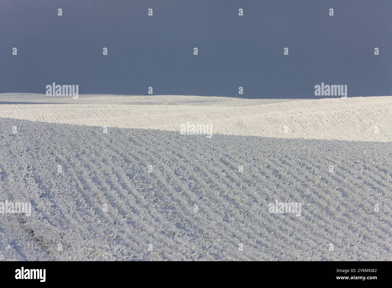 Gelo invernale Saskatchewan Canada tempesta di ghiaccio pericolo Foto Stock