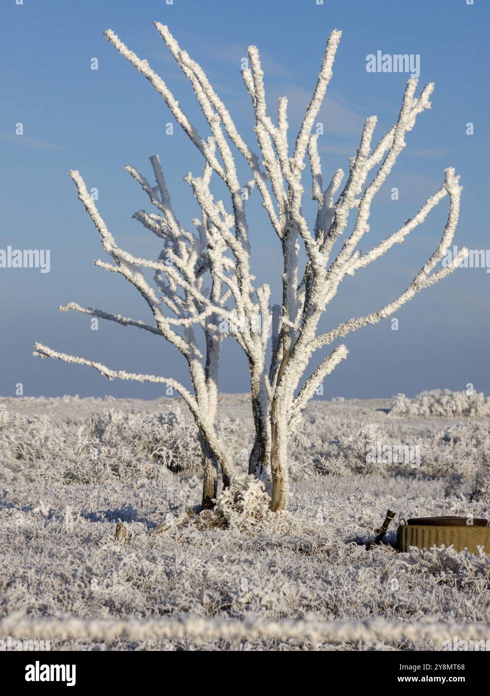 Gelo invernale Saskatchewan Canada tempesta di ghiaccio pericolo Foto Stock