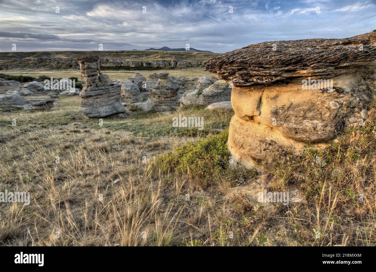 Hoodoo Badlands Alberta Canada iscritto sul parco di pietra Foto Stock