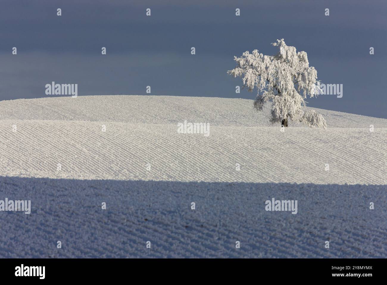 Gelo invernale Saskatchewan Canada tempesta di ghiaccio pericolo Foto Stock