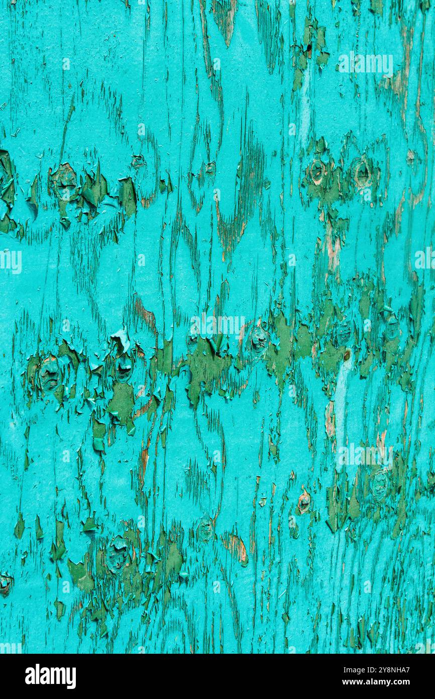 Questo pannello di recinzione in verde acqua racconta una storia di tempo e resilienza, con la sua splendida vernice sbiadita che rivela strati di texture e colore. Foto Stock