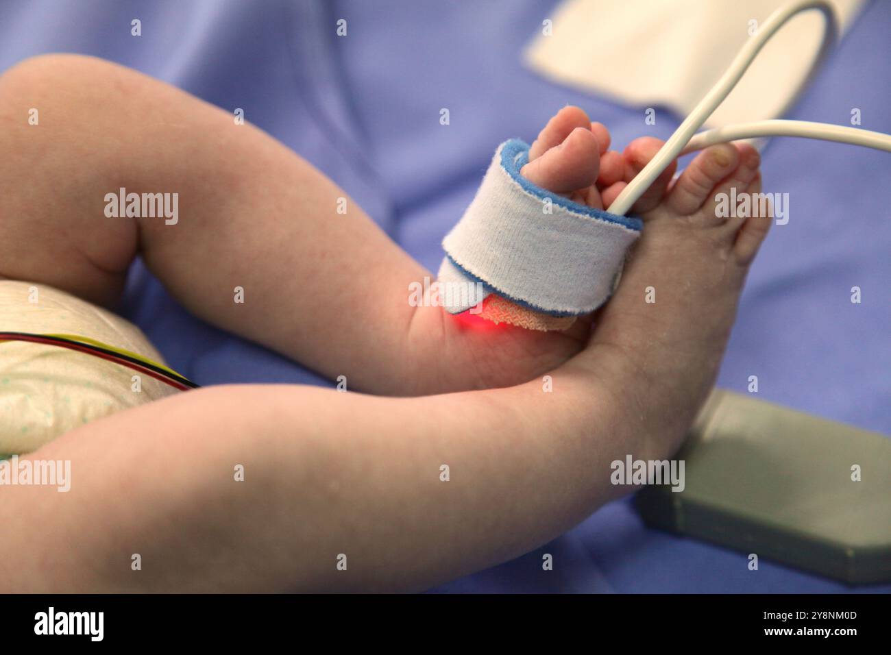 Neonati, unità di terapia intensiva neonatale, ospedale Donostia, San Sebastian, Donostia, Gipuzkoa, paesi Baschi, Spagna. Foto Stock