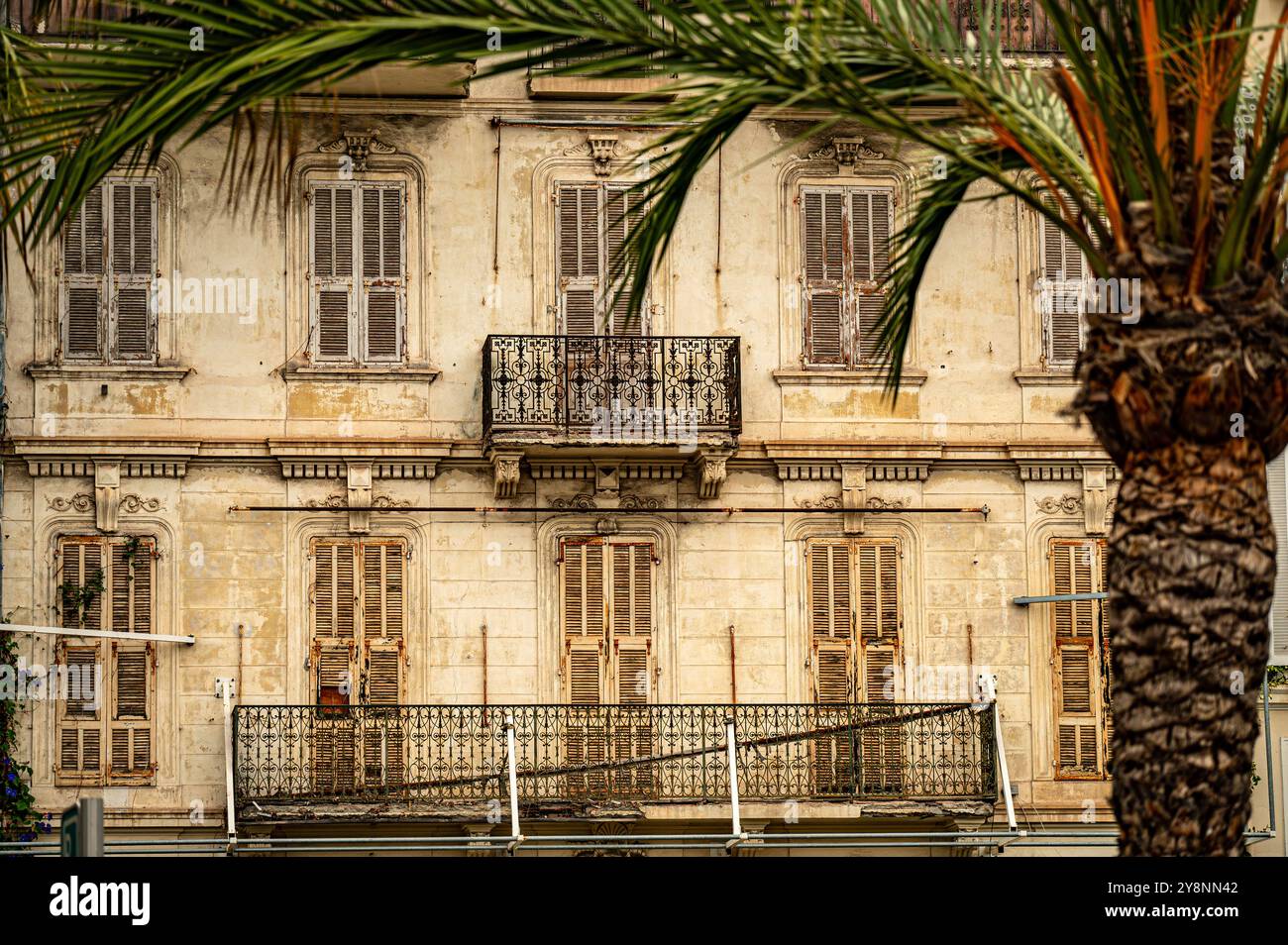 Il fascino storico nascosto dietro le fronde delle palme, un vecchio edificio con finestre con persiane e un balcone intramontabile, che si erge senza tempo in un'eleganza tranquilla. Foto Stock