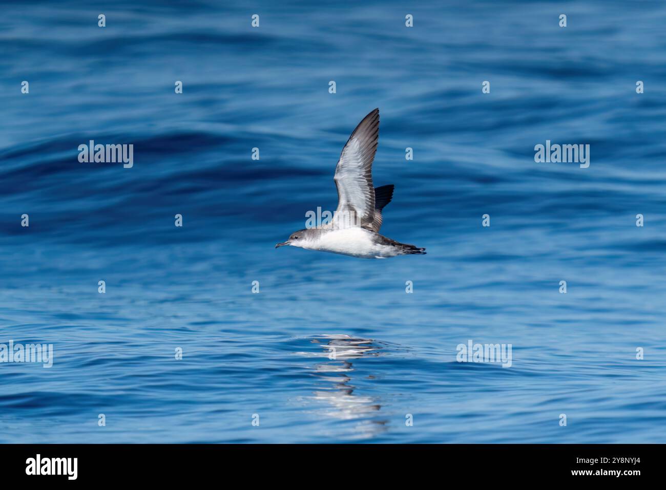 Un'immersione in acque di mare marino sullo sfondo. Turchia Foto Stock