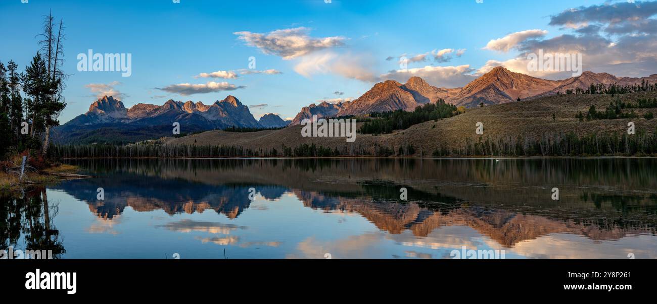 White Swan sul Little Redfish Lake Idaho Foto Stock