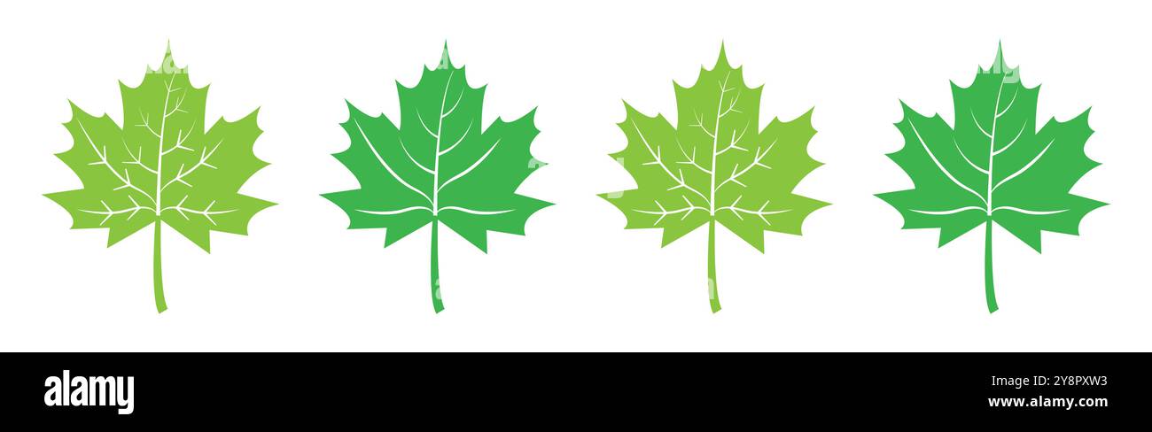 Set di icone a forma di foglia d'acero piatte isolate su sfondo bianco. Icona foglia d'acero impostata in verde. Simbolo della foresta e della segnaletica di legno. Illustrazione Vettoriale