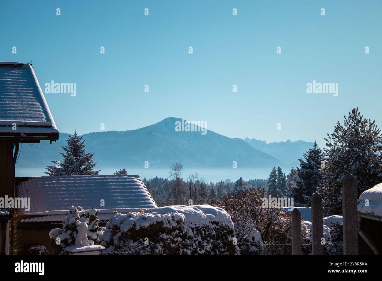Foresta invernale. Campagna innevata e foresta in inverno. Foto Stock