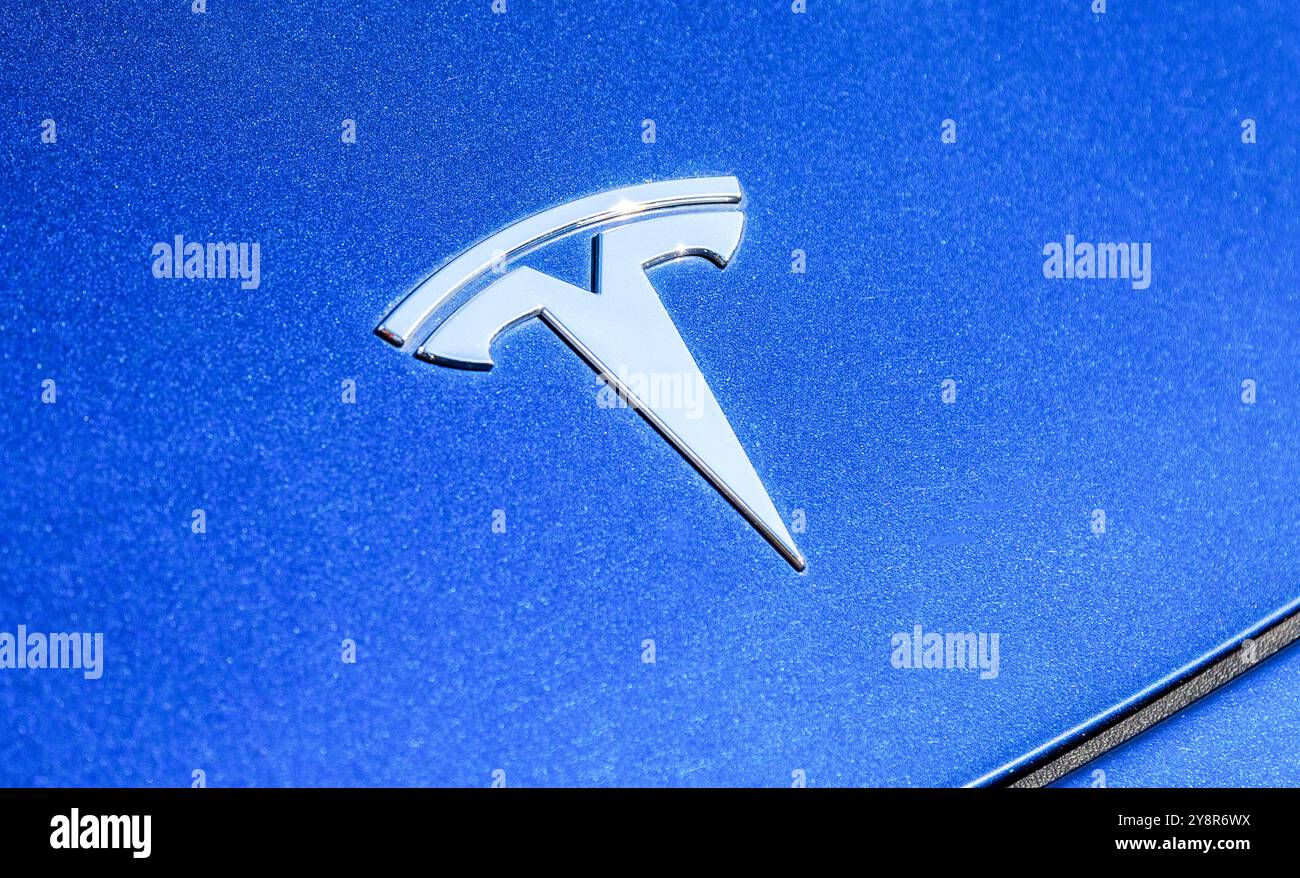 San Pietroburgo, Russia - 19 settembre 2024: Logo Tesla sul cofano auto blu. Primo piano del logo del marchio Tesla lucido Foto Stock