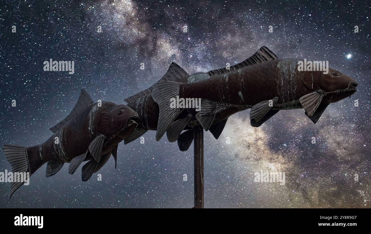 Pesce in cielo con il cielo notturno lattiginoso aggiunto Foto Stock