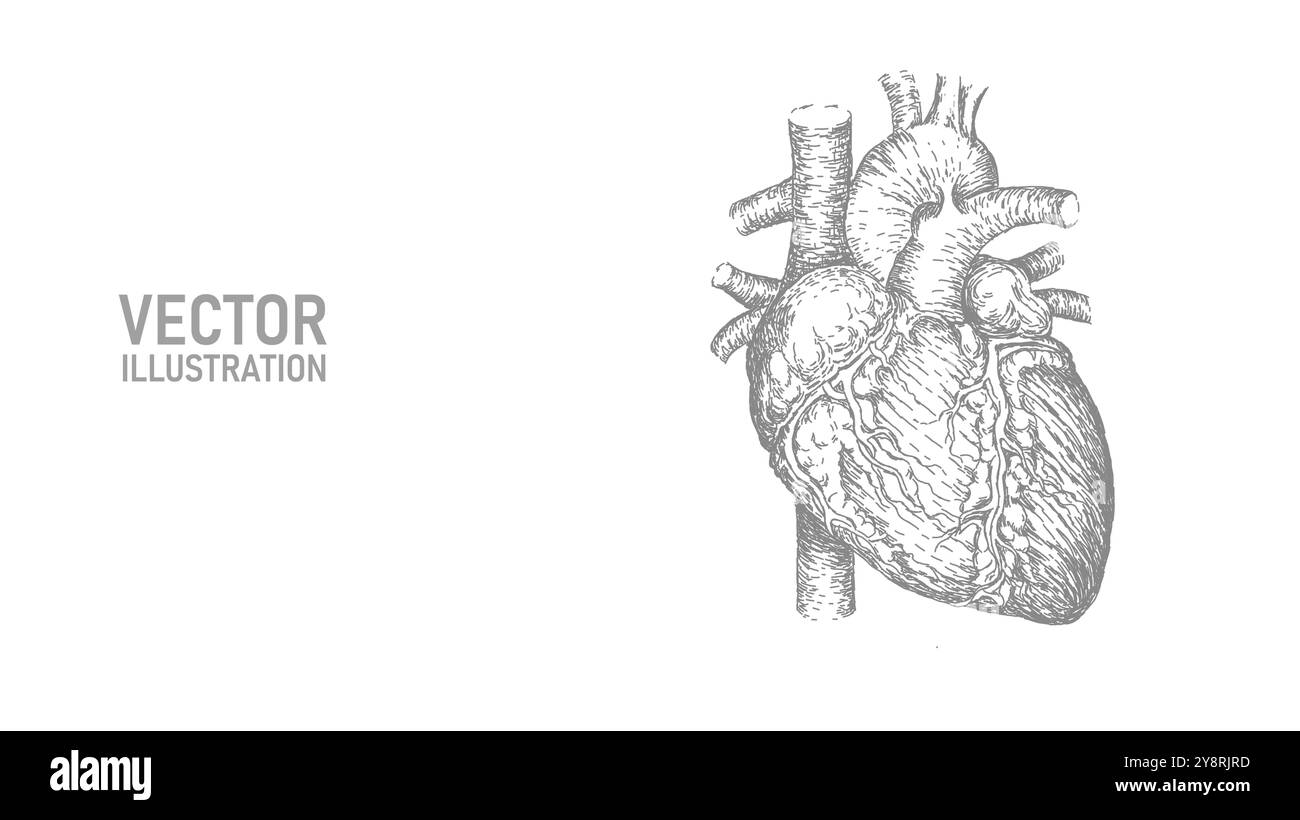 Cuore sano umano 3d linea art. Modello di medicina dello schizzo di inchiostro. Corpo interno Pulse moderna illustrazione vettoriale con tecnologia innovativa Illustrazione Vettoriale