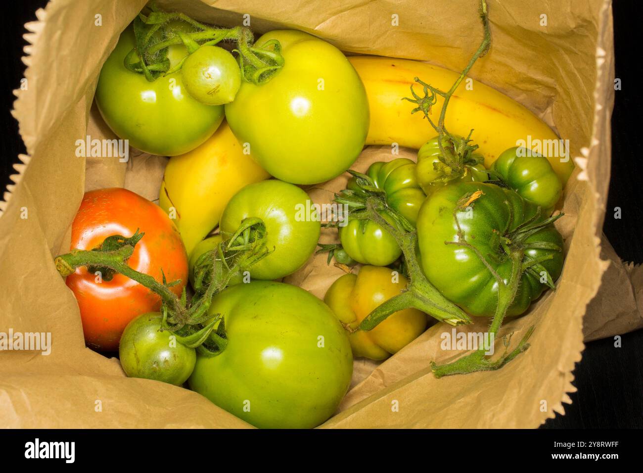 Un pomodoro maturo in un sacchetto di carta con una banana da maturare. Foto Stock