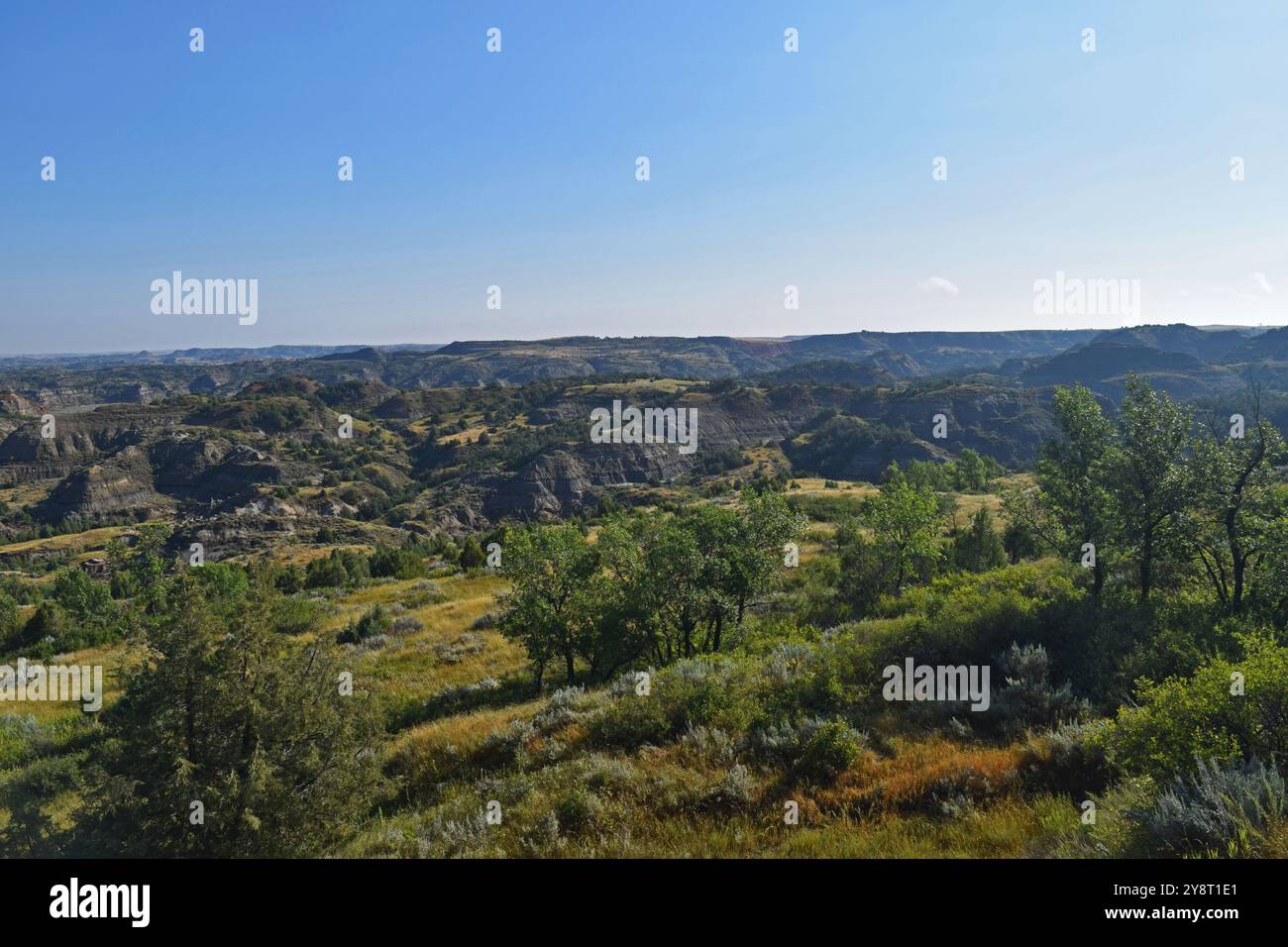 Paesaggio del canyon dipinto Foto Stock