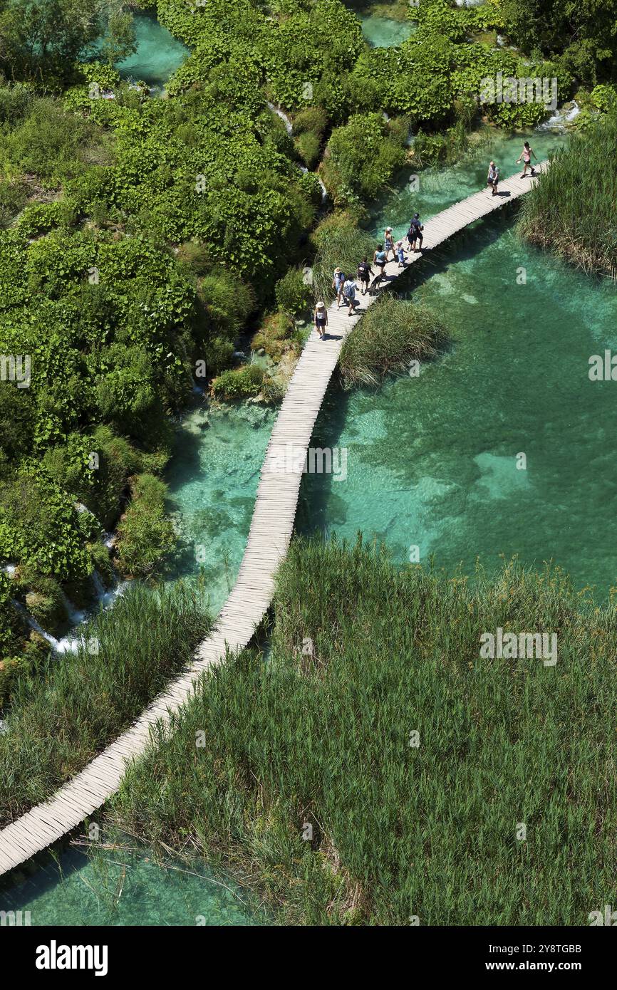 Passerella sui laghi del Parco nazionale dei laghi di Plitvice, Plitvicka Jezera, Lika-Senj, Croazia, Europa Foto Stock