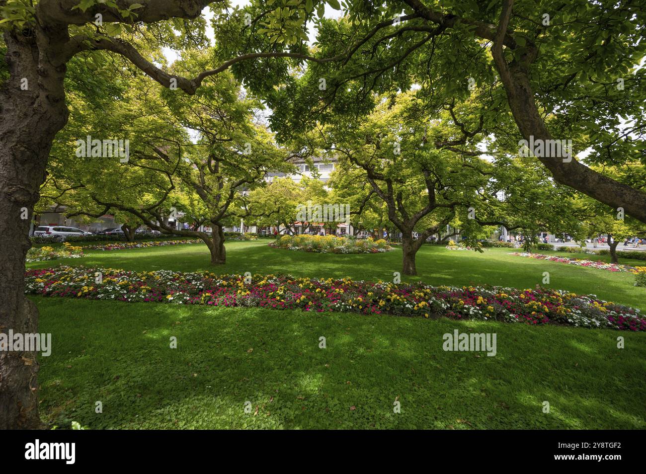 Kaisergaertchen un parco con alberi di magnolia e aiuole di fiori di fronte alla piazza della stazione ferroviaria di Wuerzburg, Wuerzburg, bassa Franconia, Baviera, germi Foto Stock