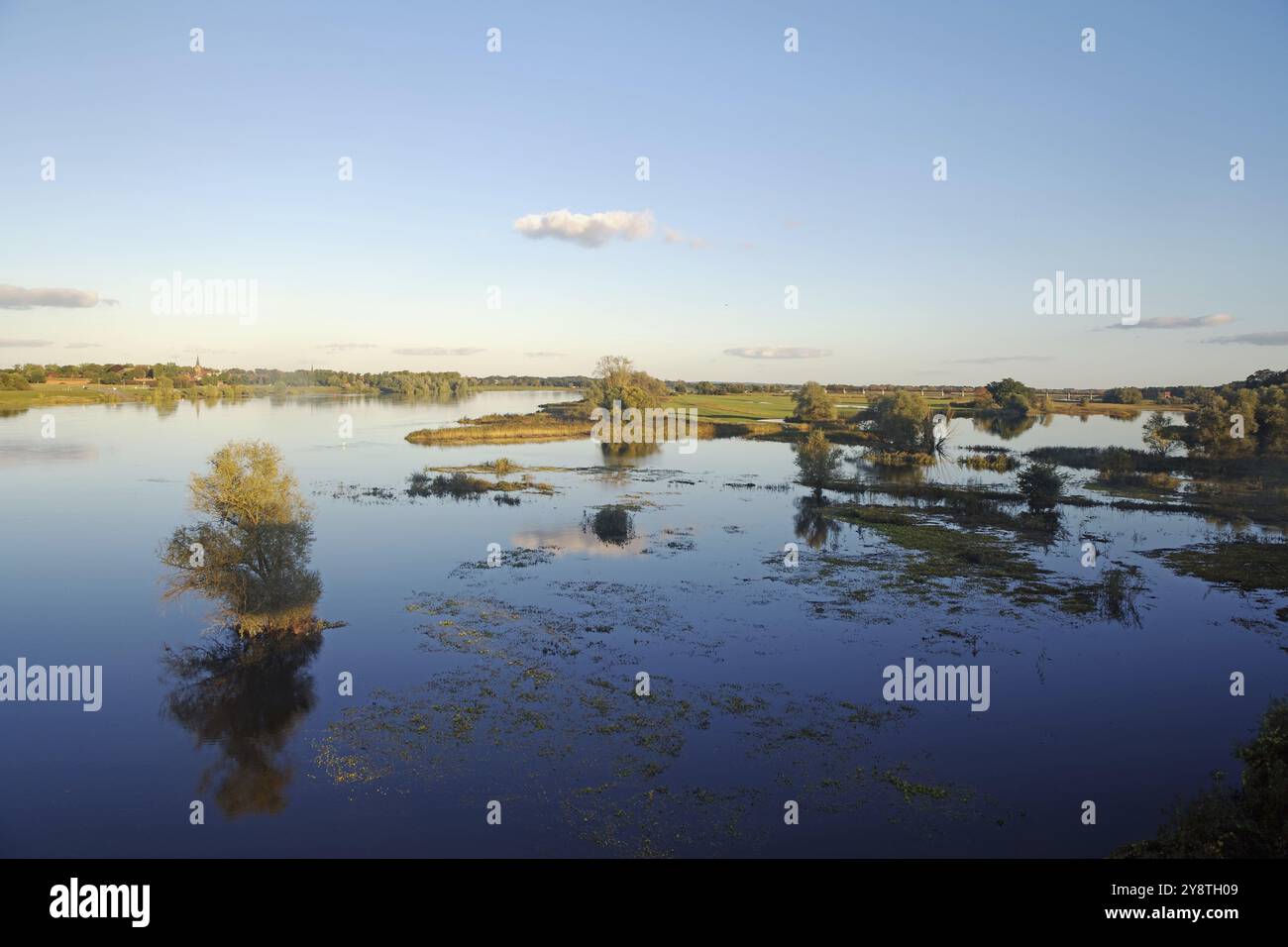Ampio paesaggio fluviale con alberi sotto un cielo limpido al tramonto, Langenfeld, Elba, Wendland, bassa Sassonia, Germania, Europa Foto Stock