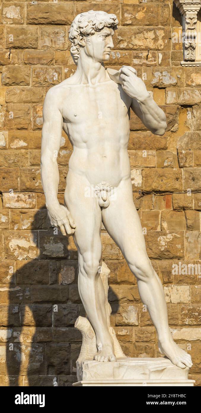 Italia, Firenze. David di Michelangelo Buonarroti, antica scultura in marmo, perfezione corpo uomo, Europa Foto Stock