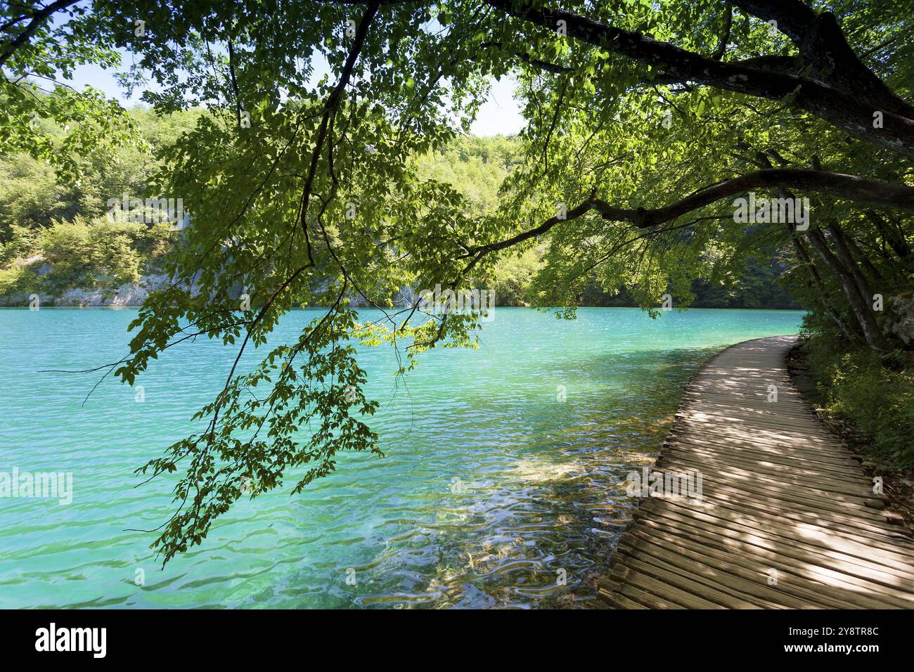 Parco nazionale dei laghi di Plitvice, Plitvicka Jezera, Lika-Senj, Croazia, Europa Foto Stock