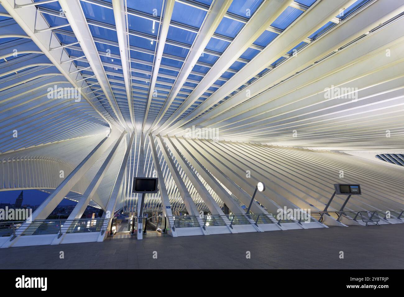 Stazione ferroviaria di Liegi-Guillemins dell'architetto Santiago Calatrava, Liegi, Belgio, Europa Foto Stock