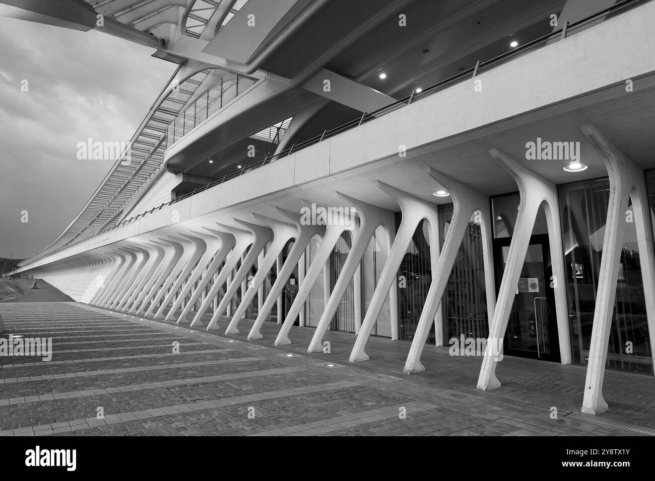 Stazione ferroviaria di Liegi-Guillemins dell'architetto Santiago Calatrava, Liegi, Belgio, Europa Foto Stock