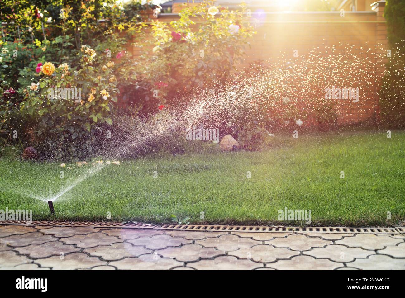 Erba verde innaffiata con impianto sprinkler automatico giorno di sole Foto Stock