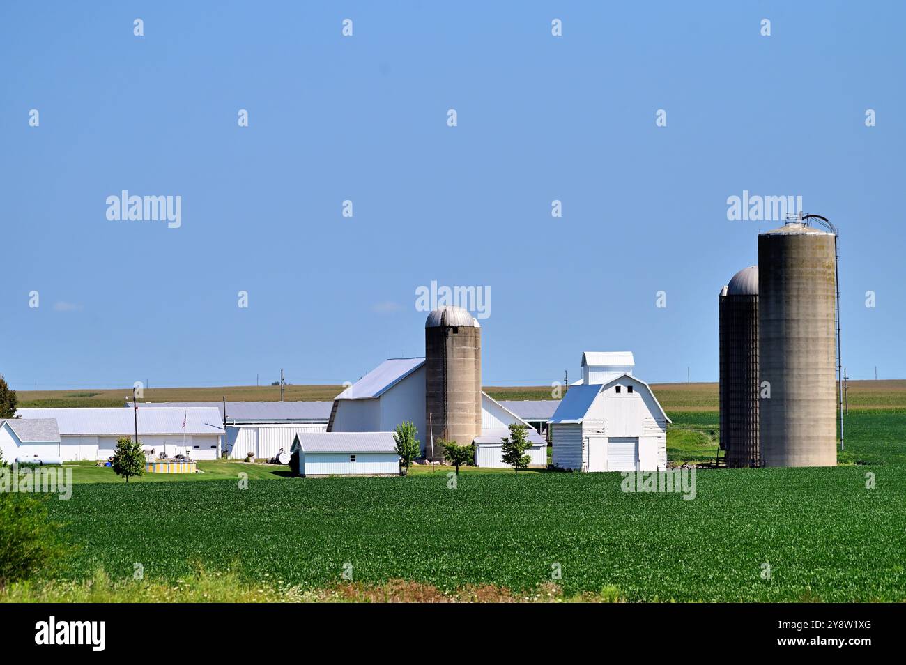 Lee, Illinois, Stati Uniti. Un gruppo di silos, fienili e capannoni bianchi che si crogiolano al sole del mattino oltre un campo di soia definisce una grande fattoria nel nord dell'europa centrale Foto Stock