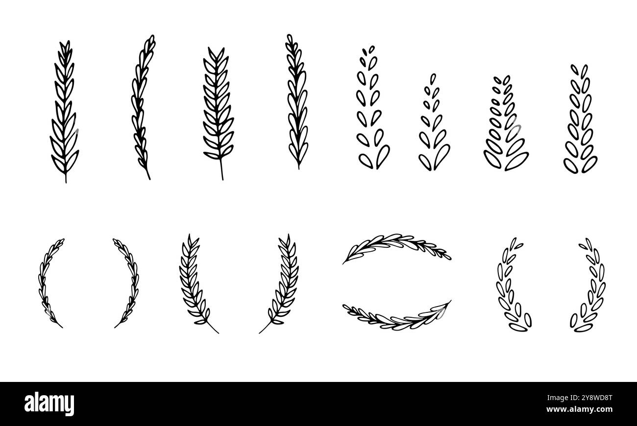 corone di grano, punte di grano e orecchie di segale Illustrazione Vettoriale
