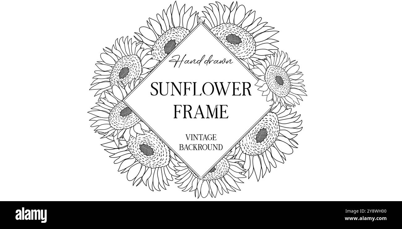 Cornice botanica disegnata a mano con girasoli. Illustrazione vettoriale nello stile di schizzo isolata su bianco. Elemento di design realistico per girasole. Spazio per il testo Illustrazione Vettoriale
