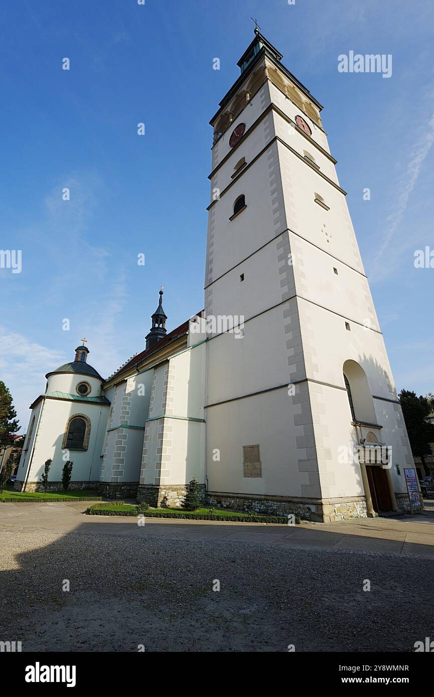 Co-Cattedrale nella città europea di Zywiec in Polonia, cielo azzurro nel 2024 caldo giorno estivo soleggiato a settembre - verticale Foto Stock