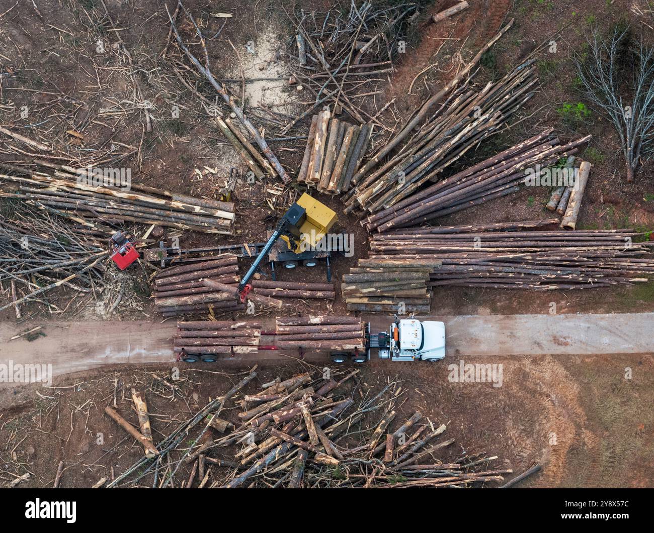 Land Clearing, Snellville, Georgia, Stati Uniti Foto Stock