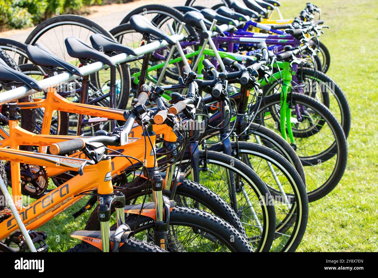 Biciclette in un portabiciclette Foto Stock